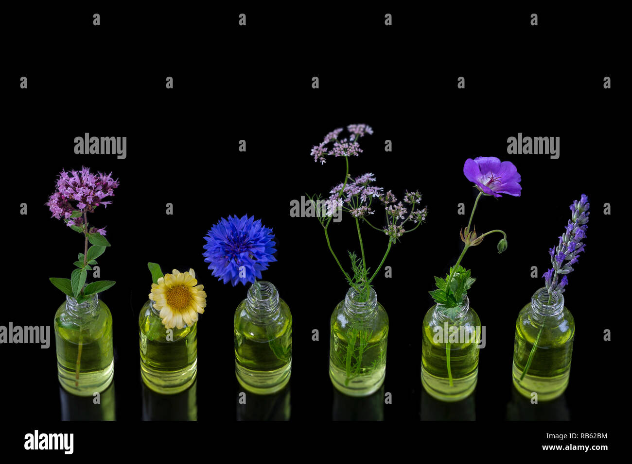 Different healing flowers in small glass bottles on wblackhite Stock Photo