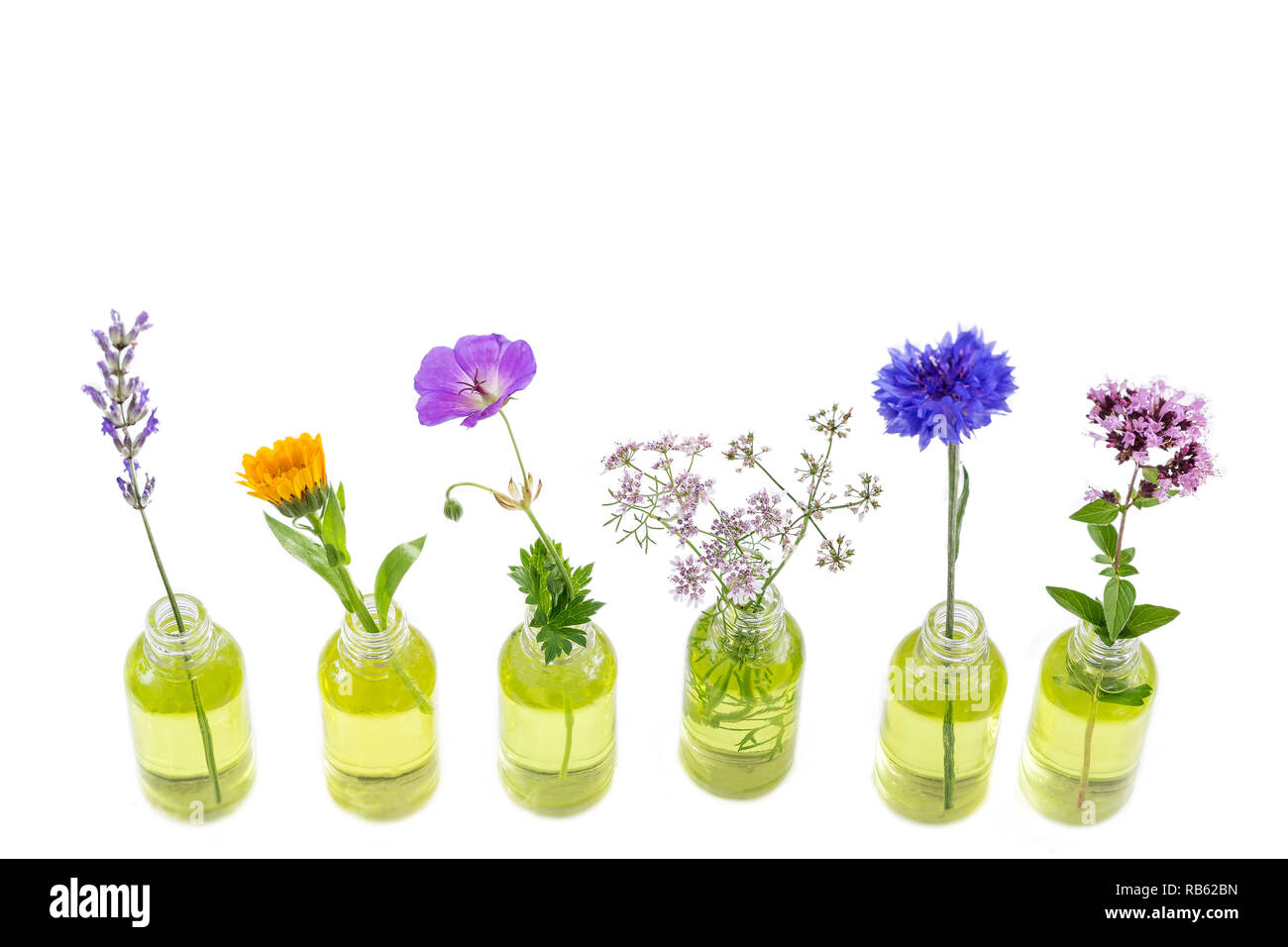 Different healing flowers in small glass bottles on white Stock Photo