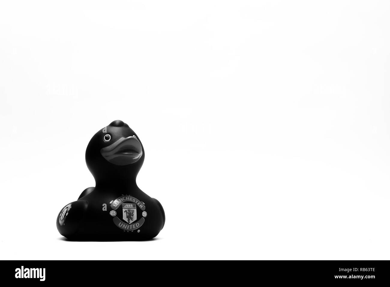 Manchester United logo of black rubber duck at studio Stock Photo