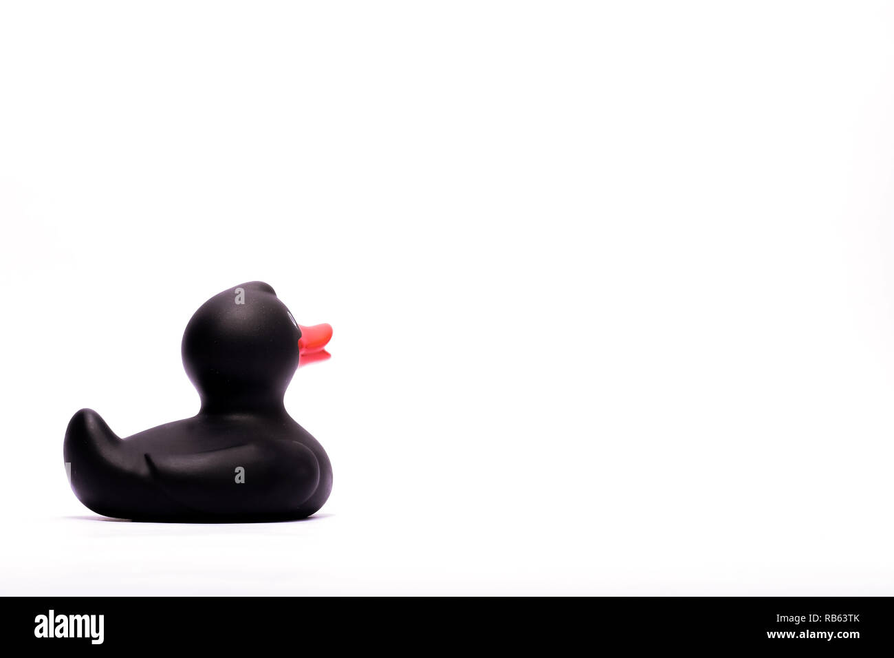 Black rubber duck at studio Stock Photo Alamy