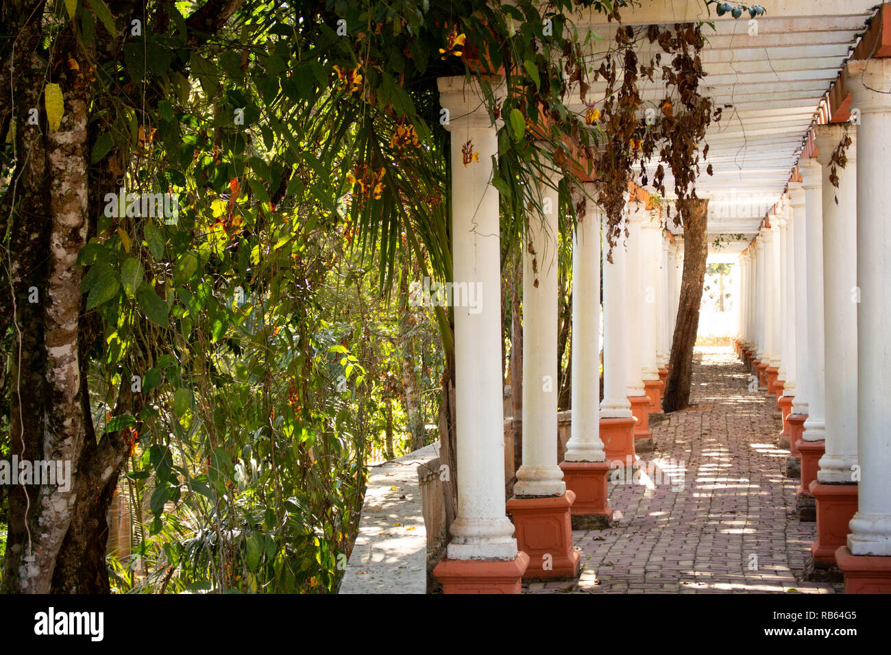 A place with a balance between nature and columns. There are some trees on the left and a path with columns on its two sides. Stock Photo