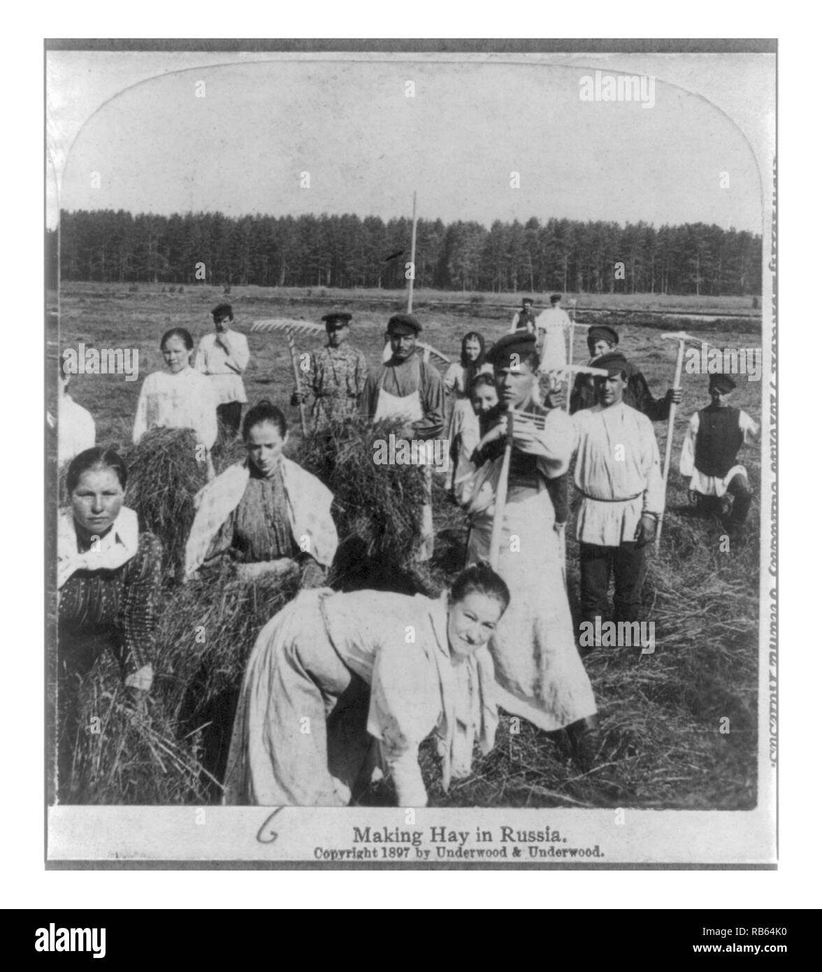 Photograph shows a group of Russian women and men making hay in Russia. Dated 1897 Stock Photo