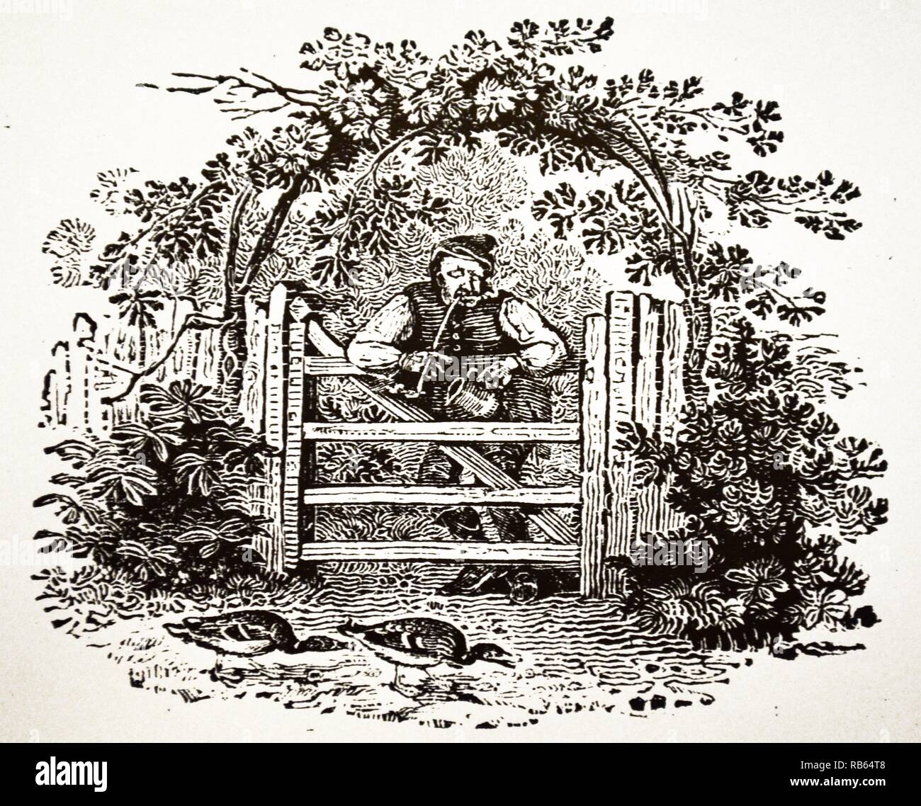 Countrtyman smoking a churchwarden, clay, pipe as he leans over the gate contemplating a future dinner of duck. Wood engraving from ''History of Brtitish Birds'', by Thomas Bewick, Newcastle, 1797-1804. Stock Photo