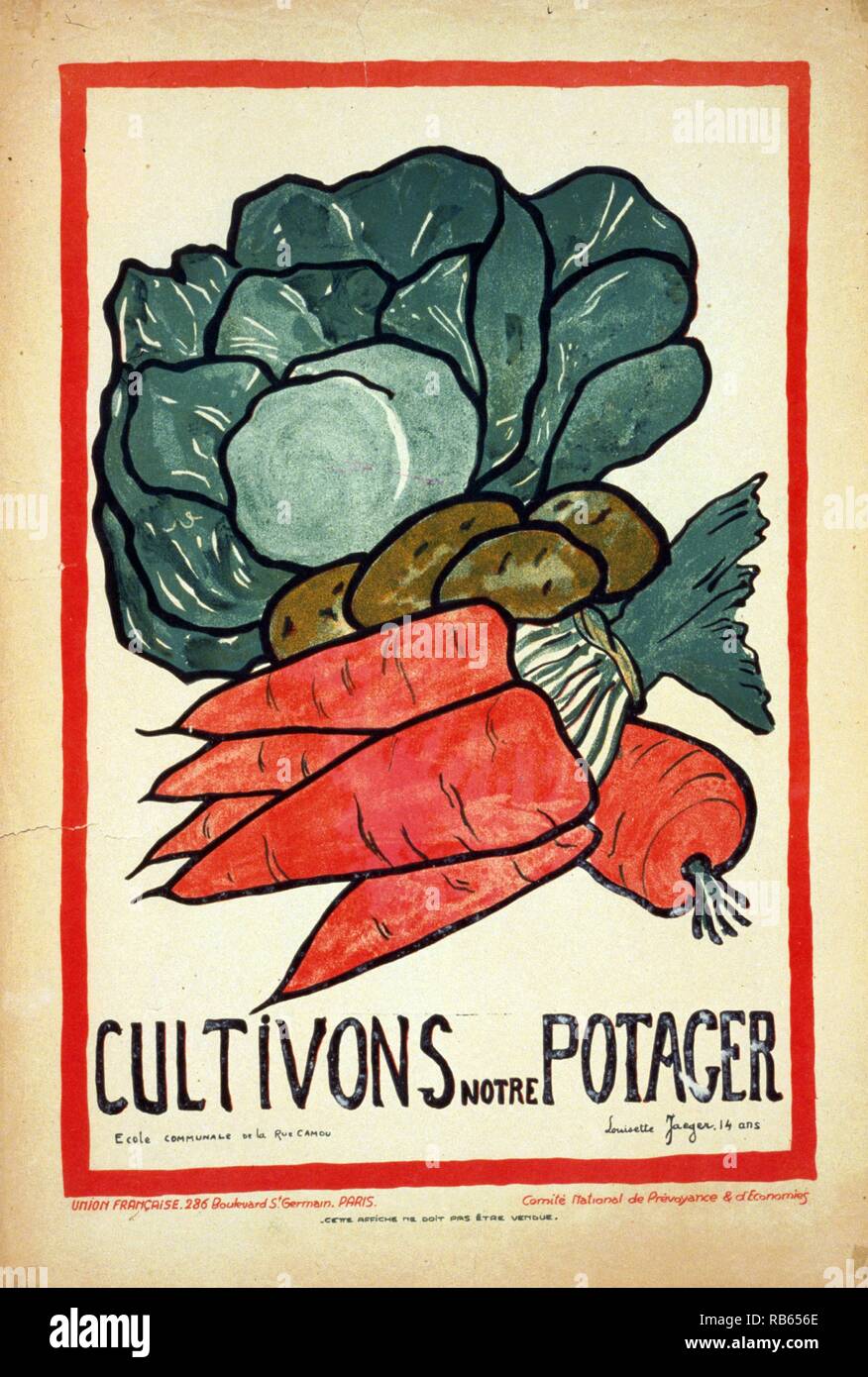 Let S Grow A Victory Garden Poster Showing A Picture Of Carrots