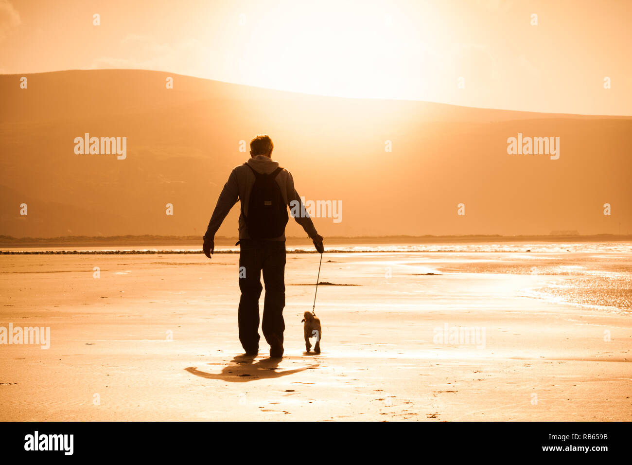 Barmouth beach, with dog walker, late afternoon sunshine Stock Photo