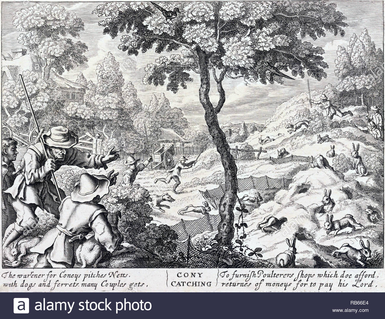 Rabbit hunting illustrations hi-res stock photography and images - Alamy