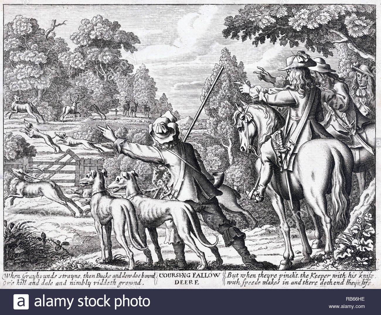 Coursing Fallow deer, etching by Bohemian etcher Wenceslaus Hollar from 1600s Stock Photo