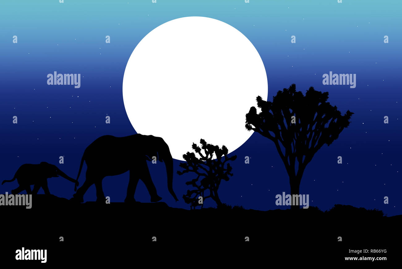 Silhouette of mother and baby elephants on night background. African nature landscape on blue gradient background illustration. Elephants at sunset. Stock Photo