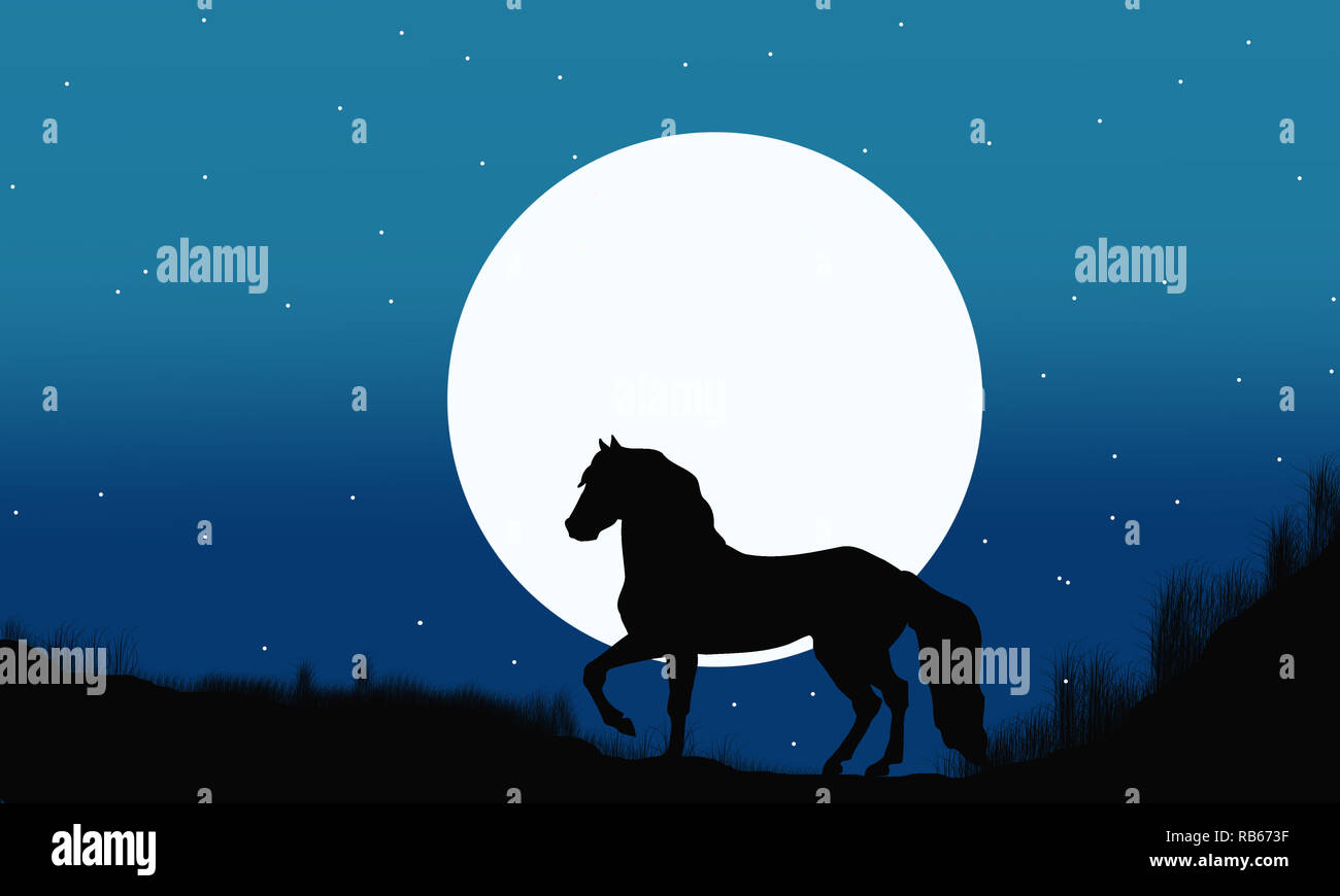 Silhouette of horse on a blue gradient background. Scenery of jungle at night.Romantic jungle night illustration.Wild horse with moon night landscape. Stock Photo