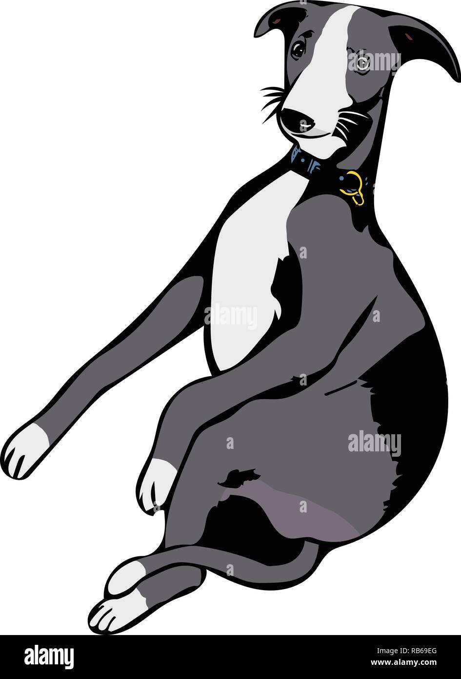 Colour Vector Graphic Of Grey Whippet Dog Sitting In A Human Like