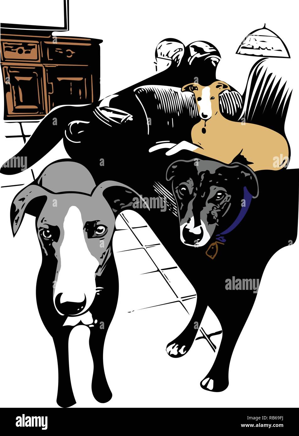 Vector art of three dogs within living room staring at camera Stock