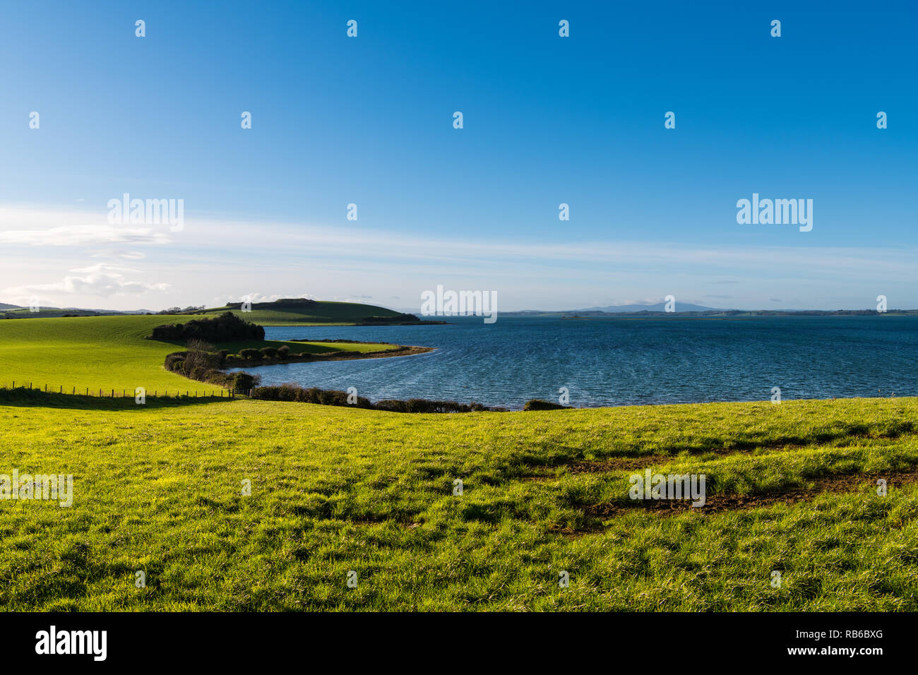 Beautiful curving shoreline of lush green, grassy fields under a sunny blue sky along Strangford Lough in Northern Ireland Stock Photo