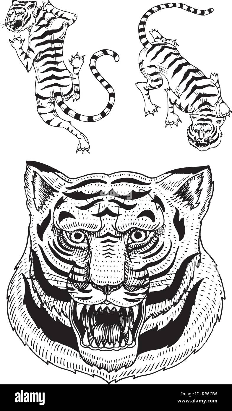 Asian tigers in vintage japanese style for logo. Face Close up. Wild  animals cats. Predators from the jungle. Hand drawn Engraved Monochrome Old  Sketch for tattoo t-shirt or web site Stock Vector