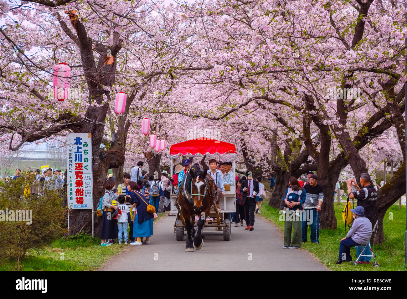 Iwate , Japan - April 22 2018: A Horse carriage carry a group of ...