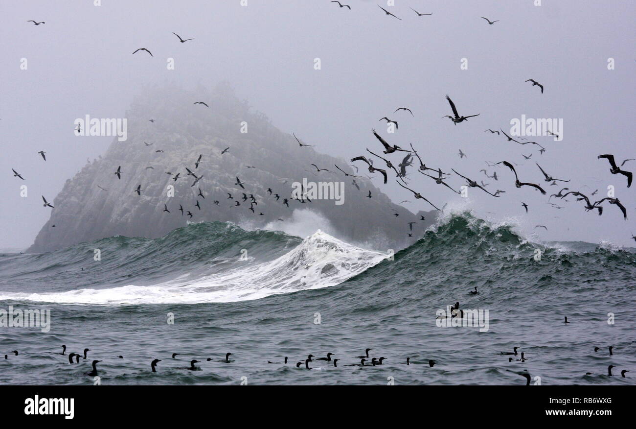 Pacific waves off Asia district, Peruvian coast Stock Photo