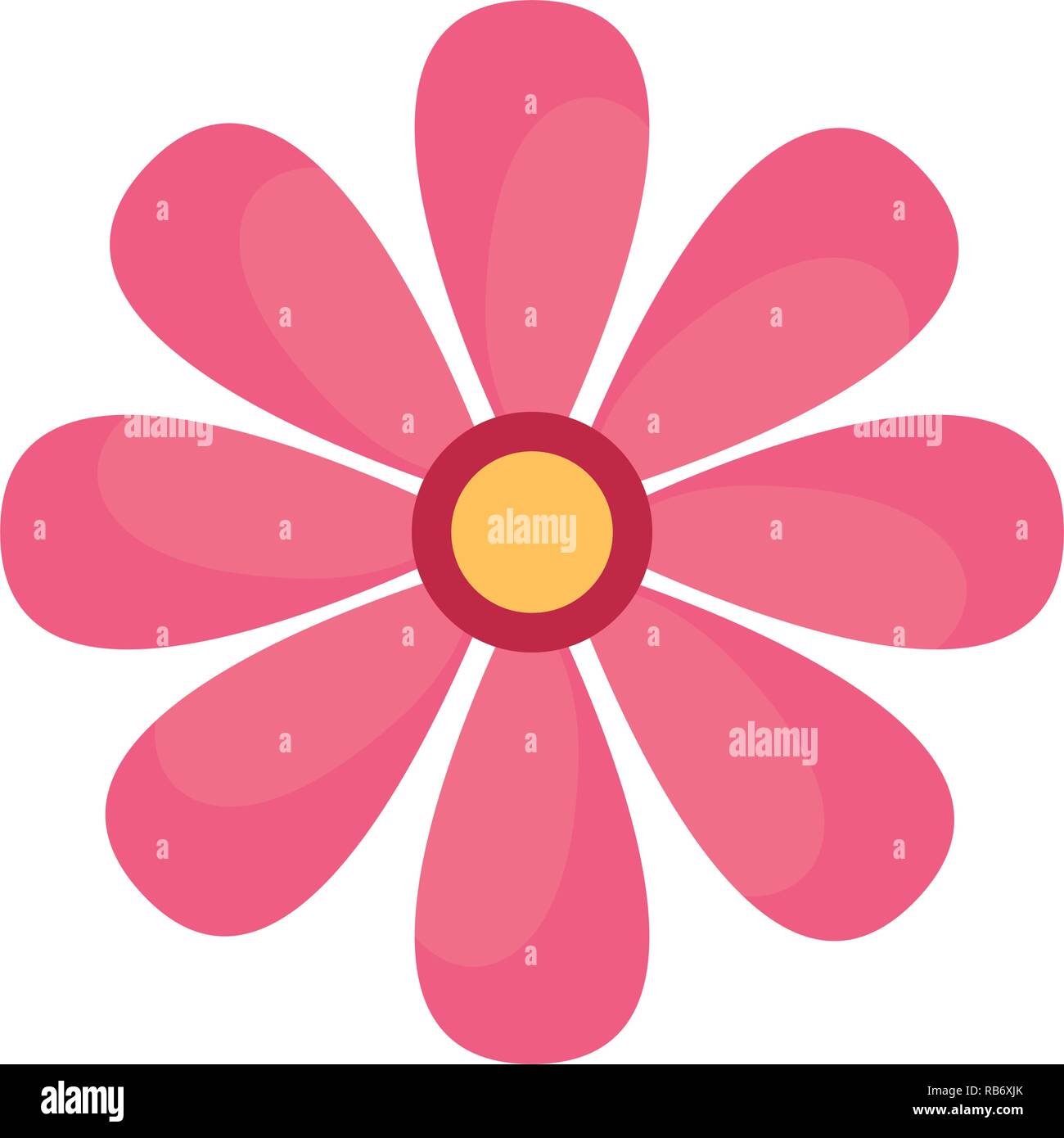 daisy flower on white background Stock Vector Image & Art - Alamy