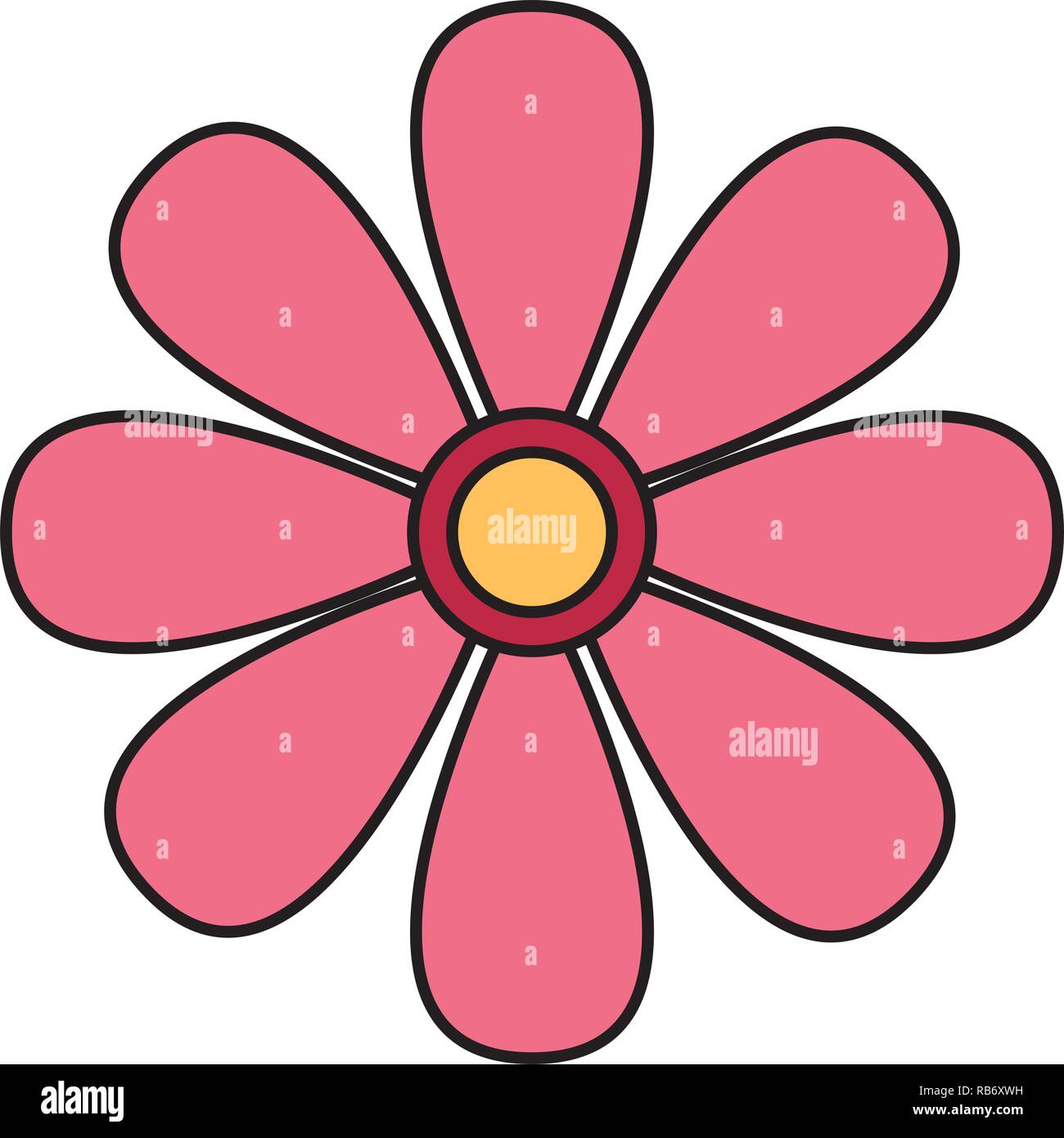 daisy flower on white background Stock Vector Image & Art - Alamy