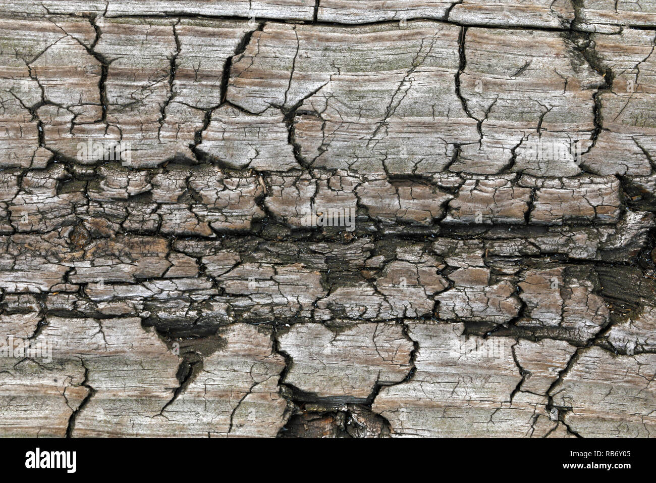 old wooden textures for web background Stock Photo