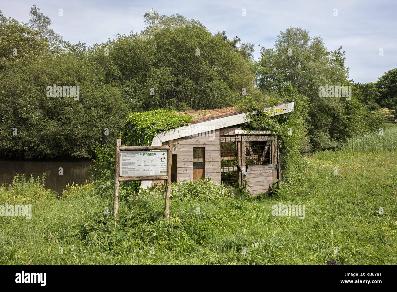 The Netherlands, Amsterdam. Westerpark. Beehives. Stock Photo