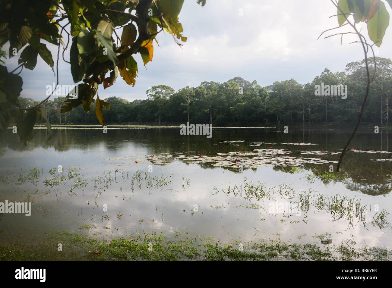 Early morning mist over the moat that surrounds Angkor Wat, Siem Reap, Cambodia Stock Photo