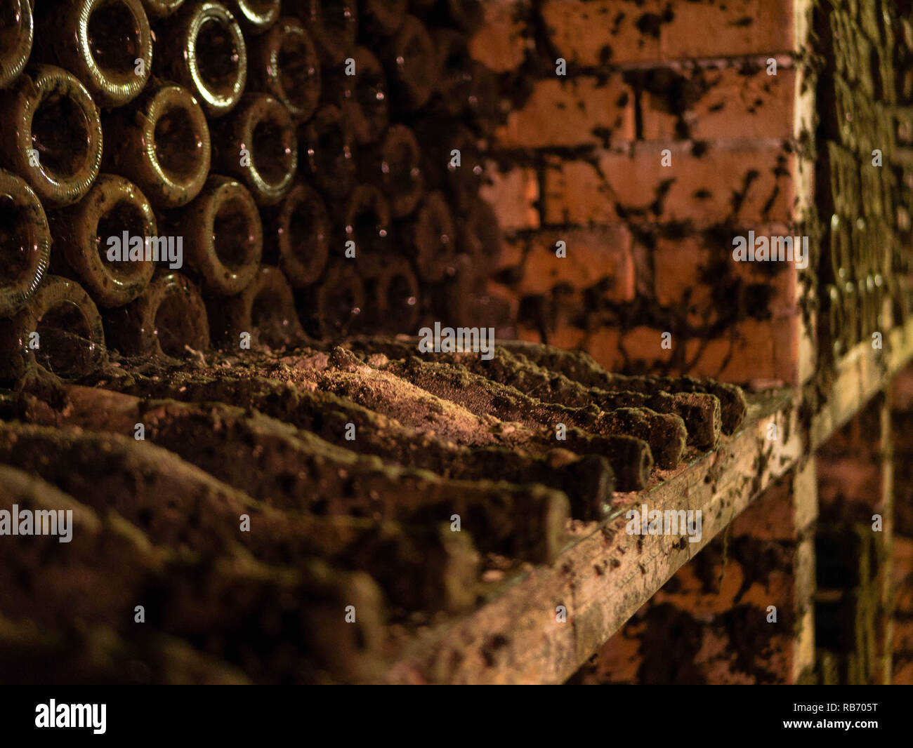 Forgotten bottles in an ancient wine cellar Stock Photo