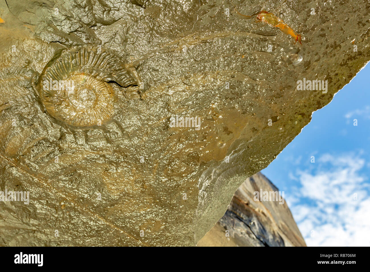 Landscape photograph taken from underneath cliff face overhang focused