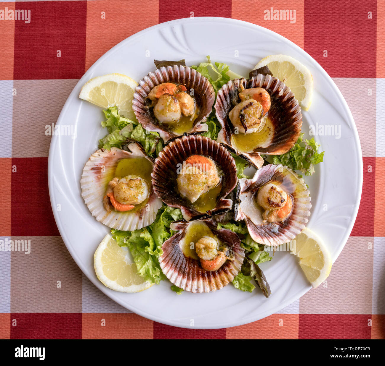 Galician scallops, Spain Stock Photo Alamy