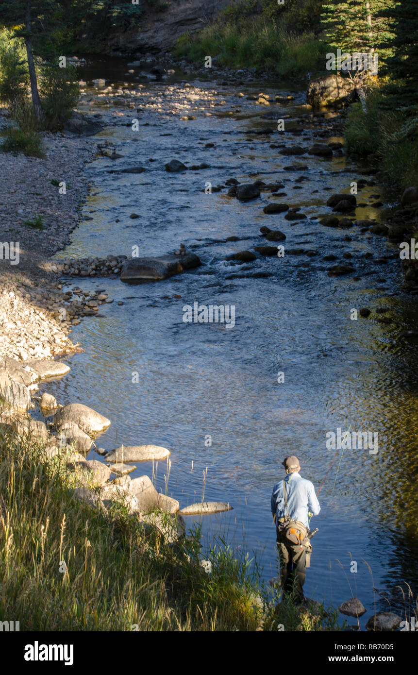 Angler Fly Fishing on the Gore Creek in Vail, Colorado Stock Photo Alamy