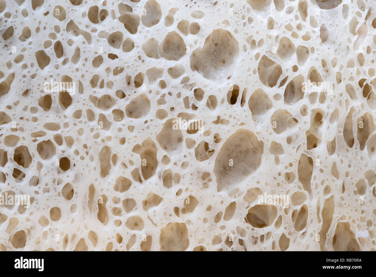 alveolus gluten net fermentation on bread dough Stock Photo Alamy