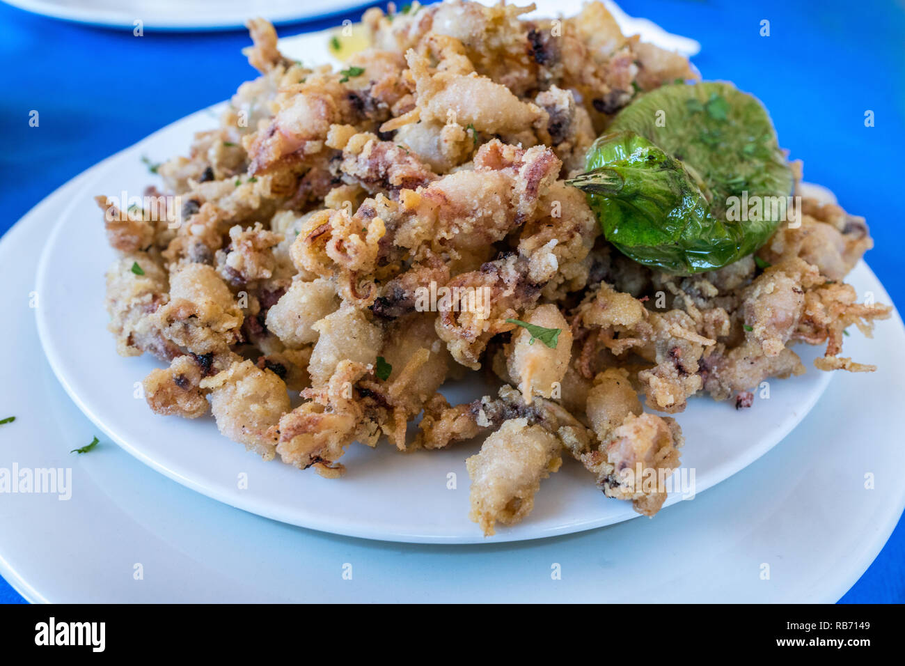 Baby octopus hires stock photography and images Alamy
