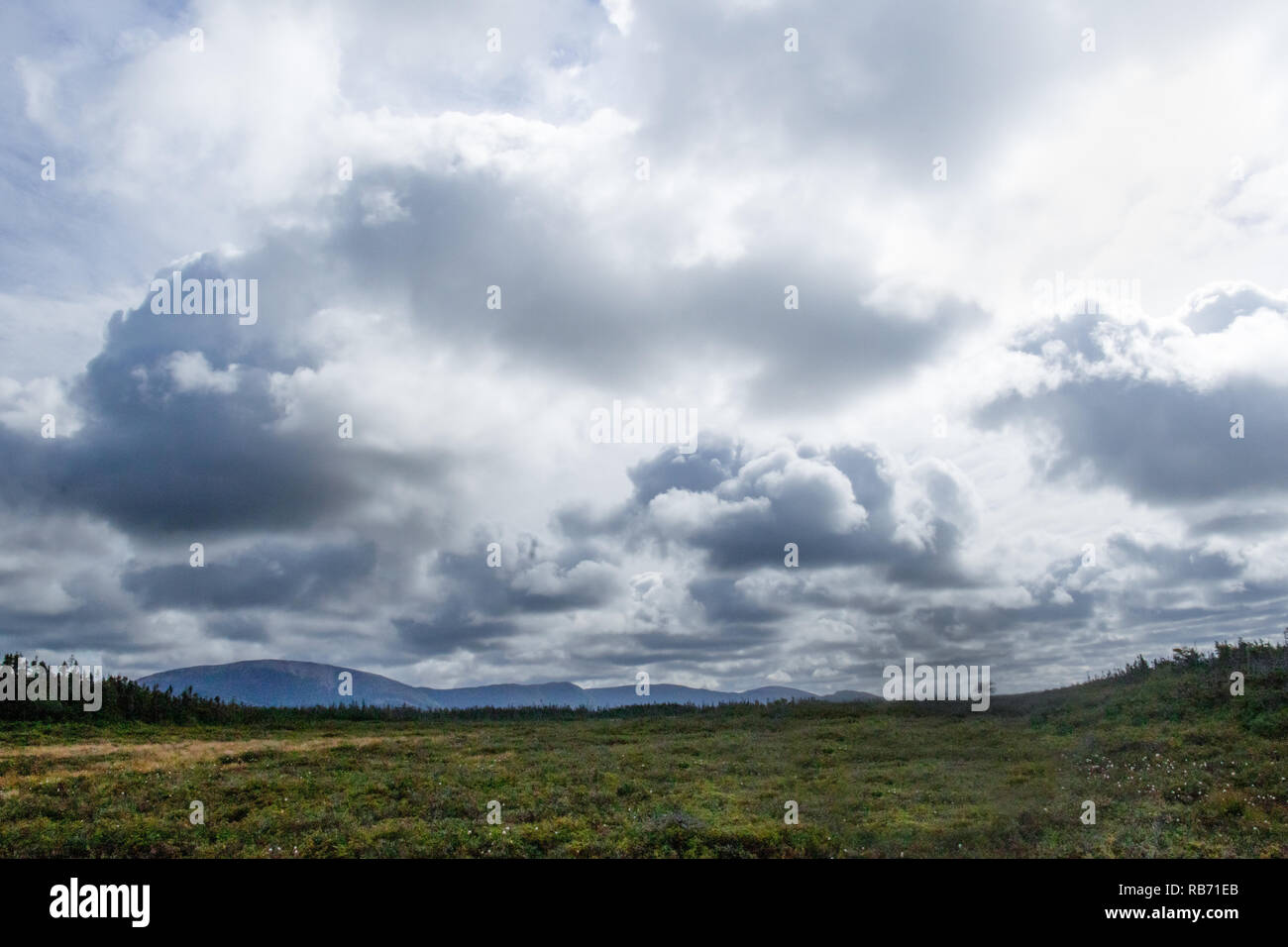 Baker's brook Trail Stock Photo Alamy