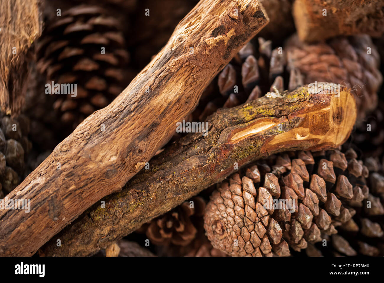 fire wood and pine trees for wood stove Stock Photo Alamy