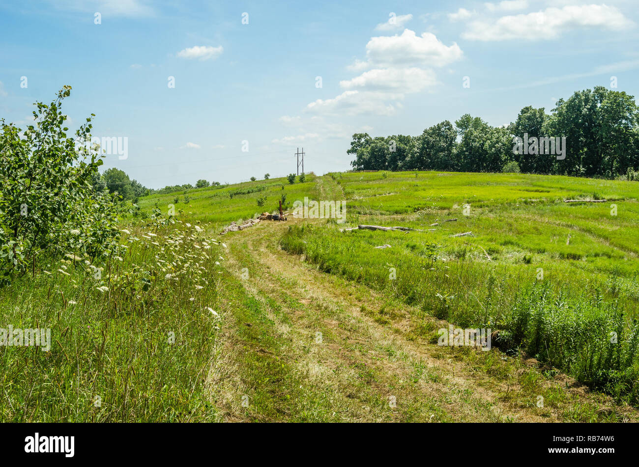 Landscape in rural Wisconsin Stock Photo