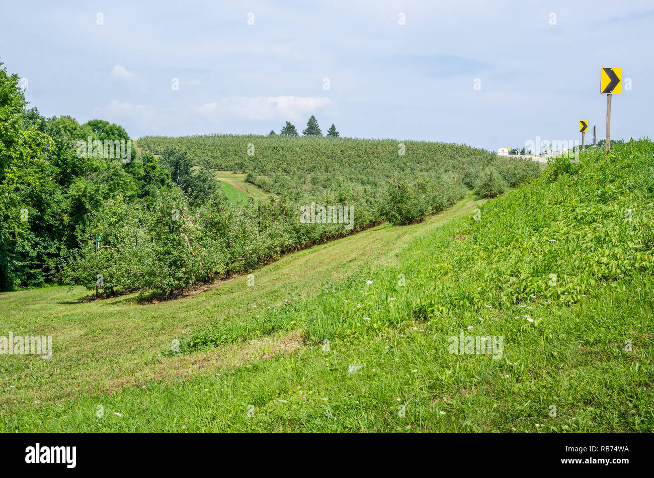 Apple orchard in rural Wisconsin Stock Photo