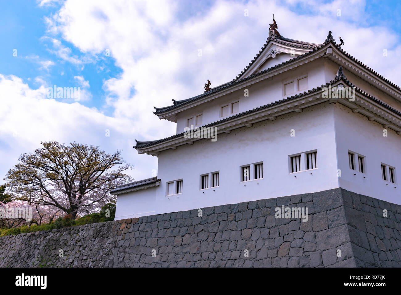 Sunpu Castle Tatsumi-Yagura with Cherry blossom, Shizuoka, Japan. Stock Photo