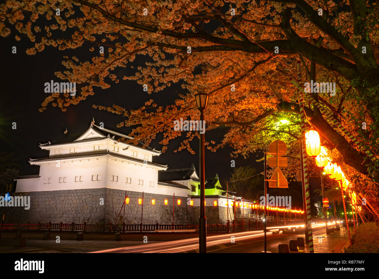 Sunpu Castle Tatsumi-Yagura with Cherry blossom, Shizuoka, Japan. Stock Photo