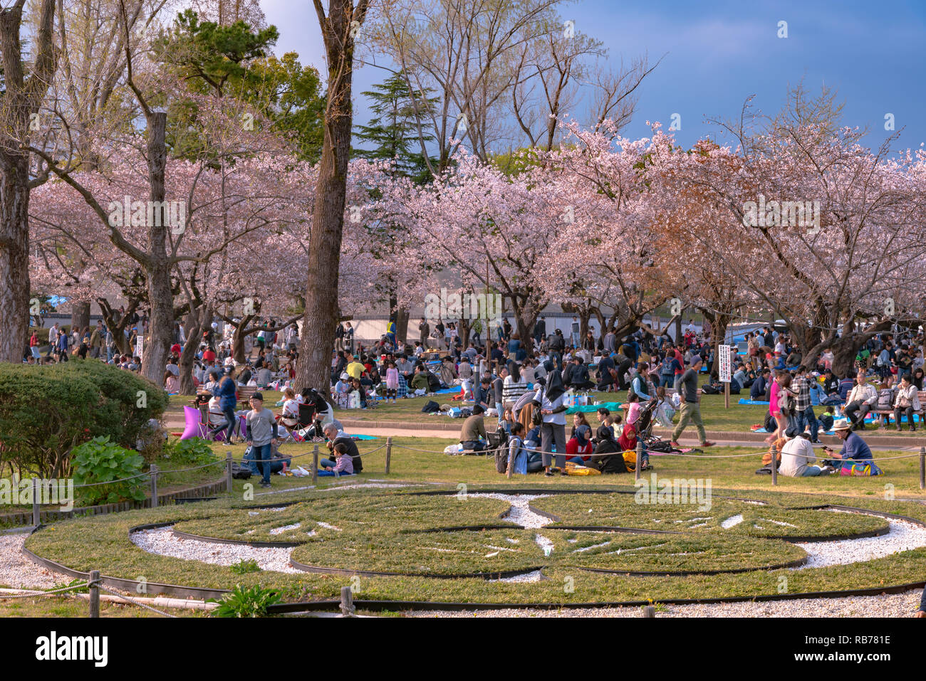 Shizuoka Festival ( Shizuoka Matsuri ) with Cherry blossoms, Shizuoka, Japan. Stock Photo