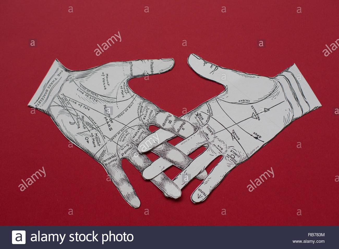 Palm Reading Hand Chart