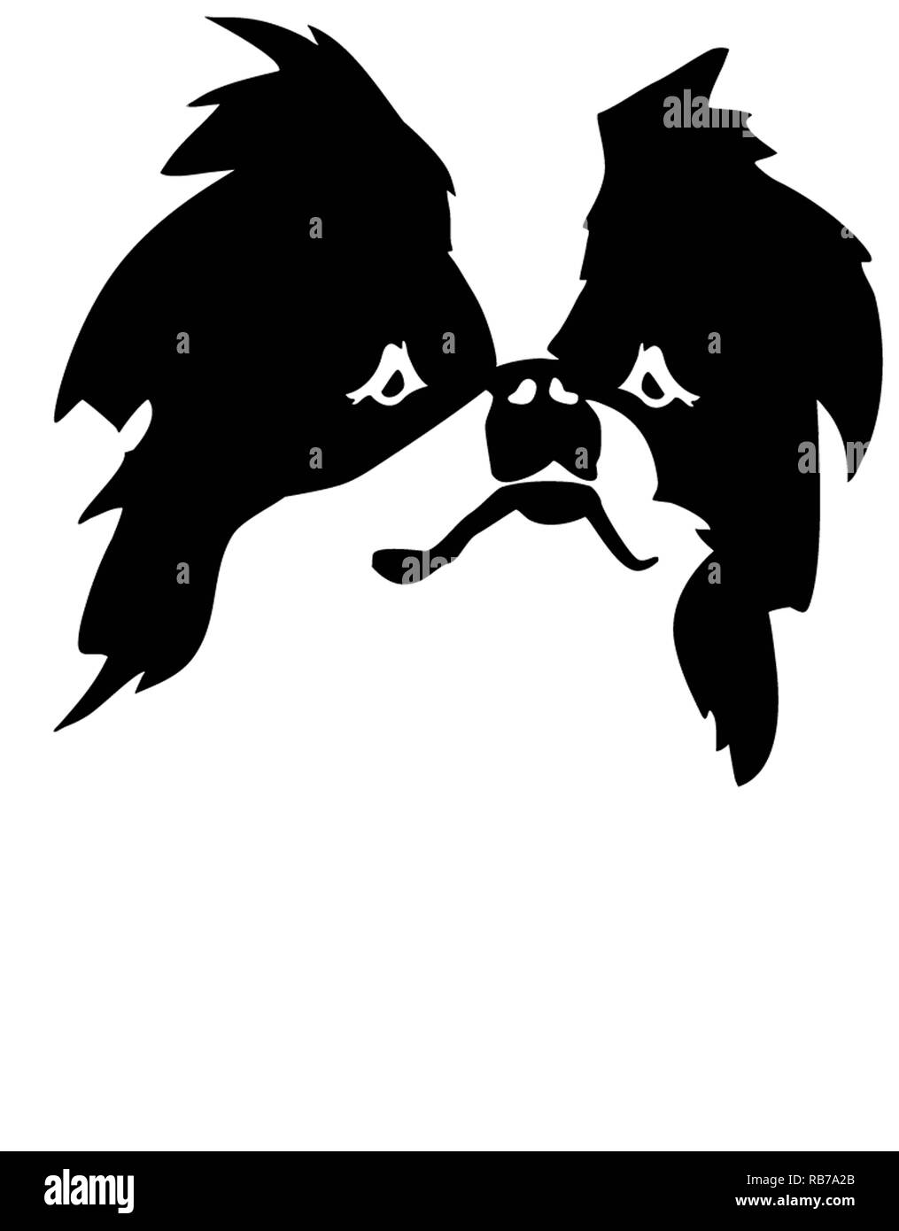 Japanese Chin head with silhouette Stock Photo