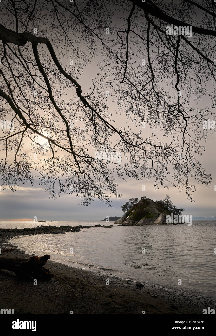 Whytecliff Park, West Vancouver, BC. Whyte Island in, Whytecliff Park, is accessible for climbing and exploring at low tide. West Vancouver, British C Stock Photo