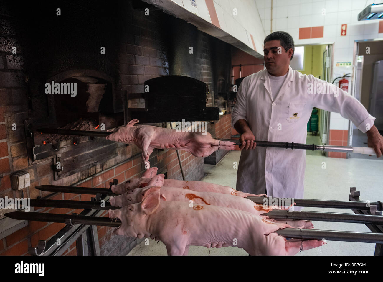 Man inserting a piglet into the oven for roasting in traditional portuguese Bairrada region's way, Mealhada, Portugal Stock Photo