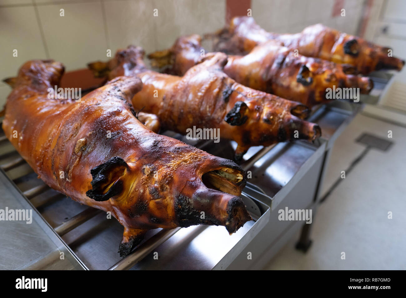 Roasted piglets on spits in traditional portuguese Bairrada region's way, Mealhada, Portugal Stock Photo