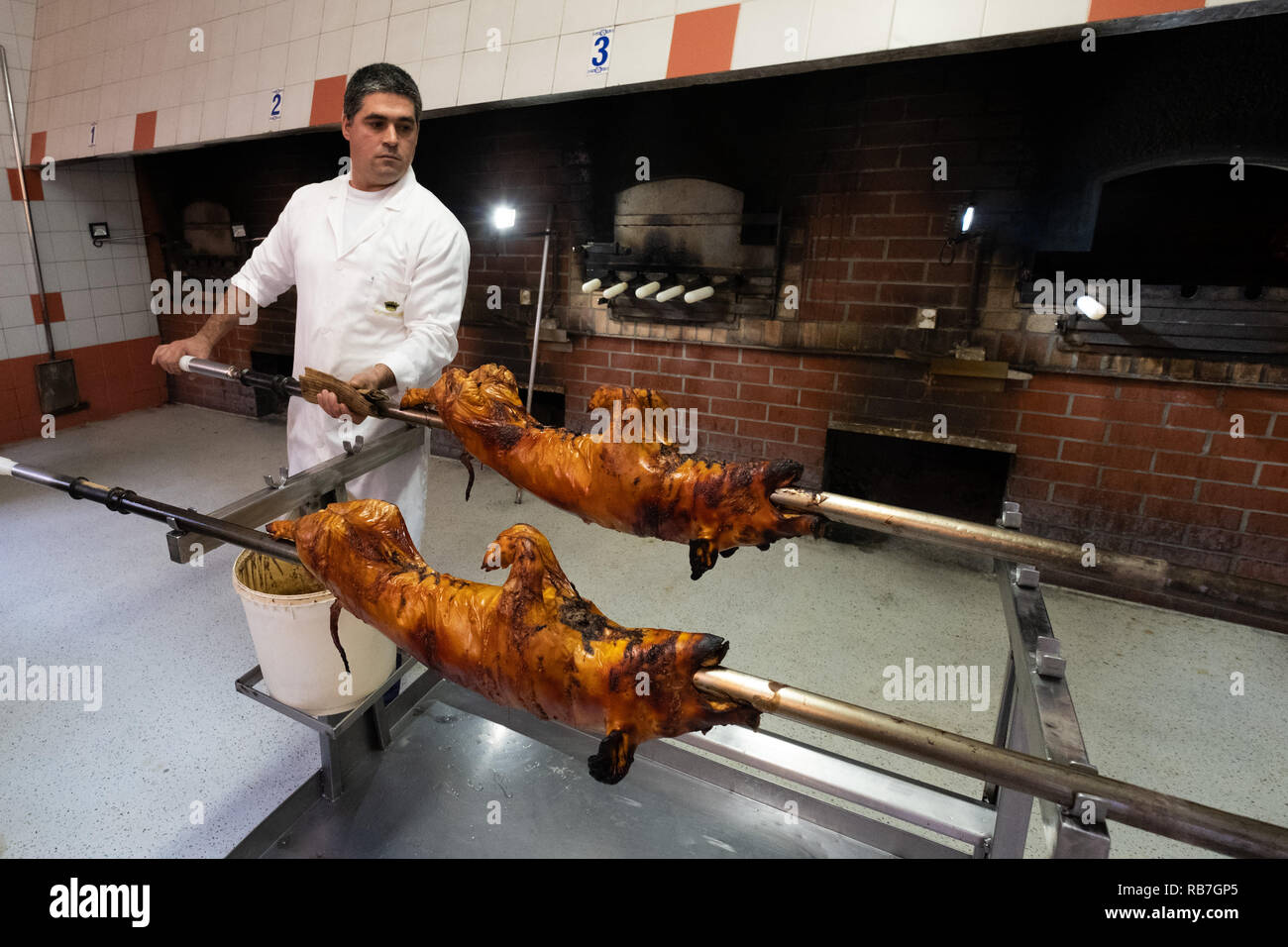 Man holding a piglet on a spit that was roasted in traditional portuguese Bairrada region's way, Mealhada, Portugal Stock Photo