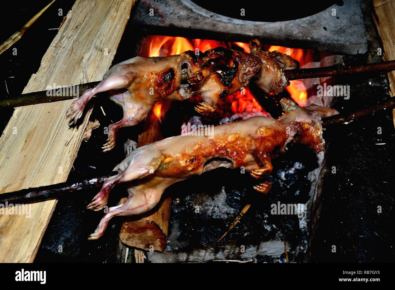Grilled Cuy - Peasant community restaurant - Llanganuco lagoons  - National park HUASCARAN. Department of Ancash.PERU             Stock Photo