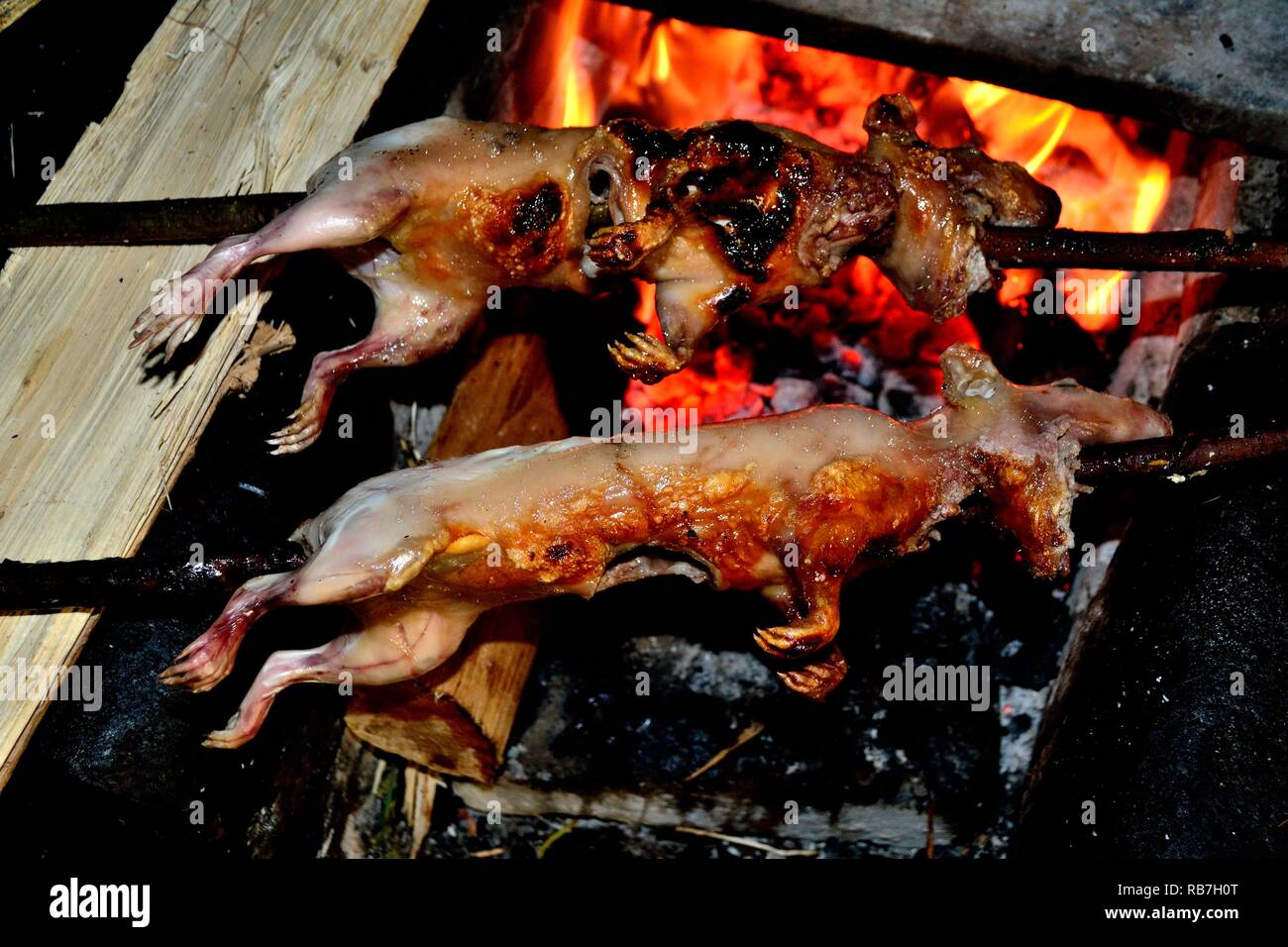 Grilled Cuy - Peasant community restaurant - Llanganuco lagoons  - National park HUASCARAN. Department of Ancash.PERU             Stock Photo