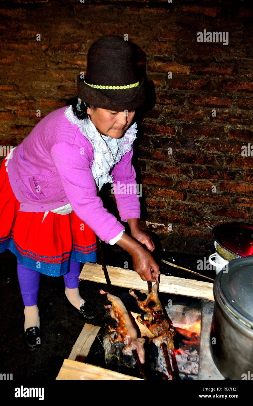 Grilled Cuy - Peasant community restaurant - Llanganuco lagoons  - National park HUASCARAN. Department of Ancash.PERU             Stock Photo