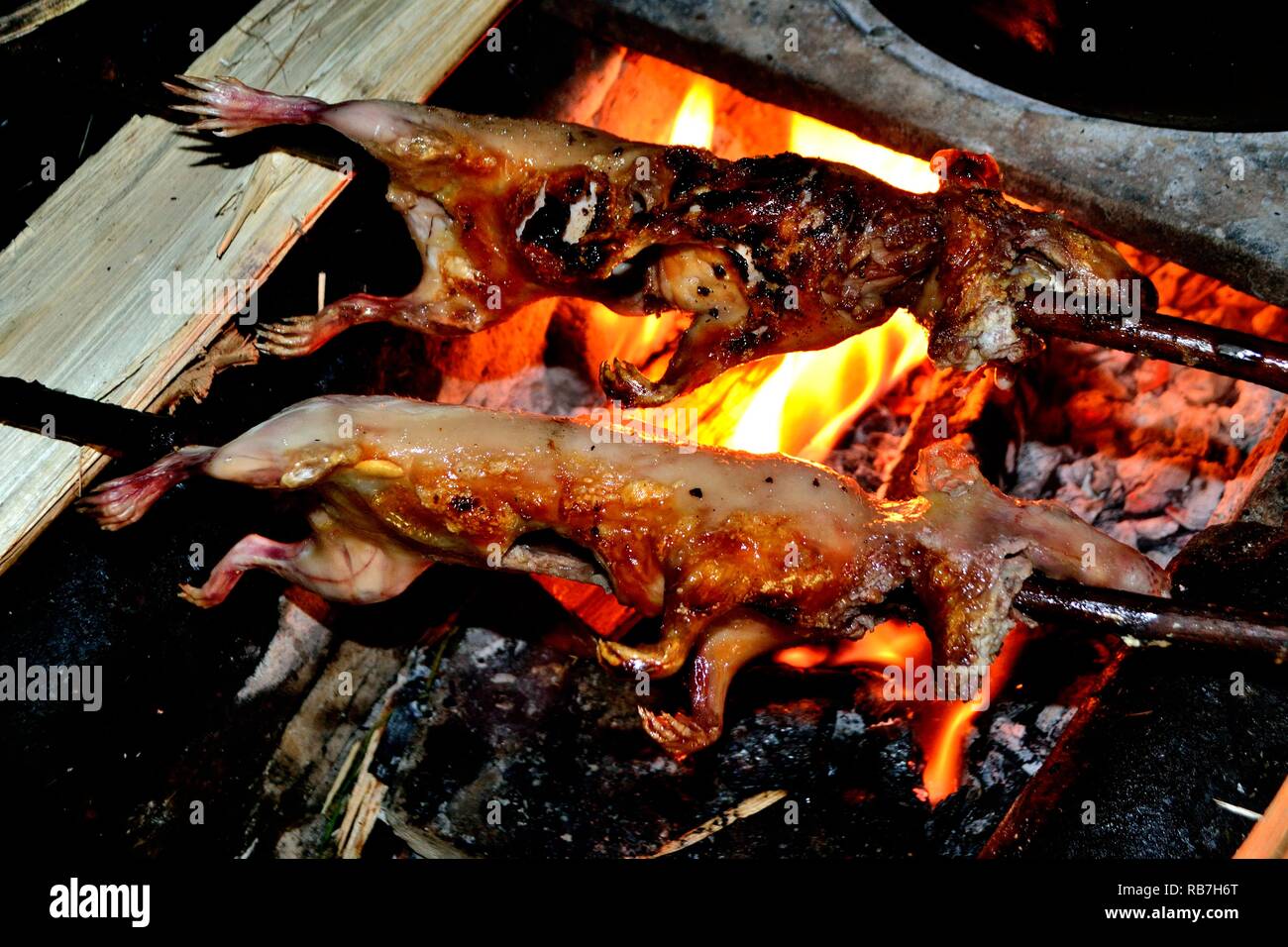 Grilled Cuy - Peasant community restaurant - Llanganuco lagoons  - National park HUASCARAN. Department of Ancash.PERU             Stock Photo