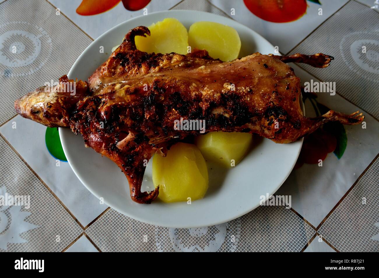 Grilled Cuy - Peasant community restaurant - National park HUASCARAN. Department of Ancash.PERU                    Stock Photo