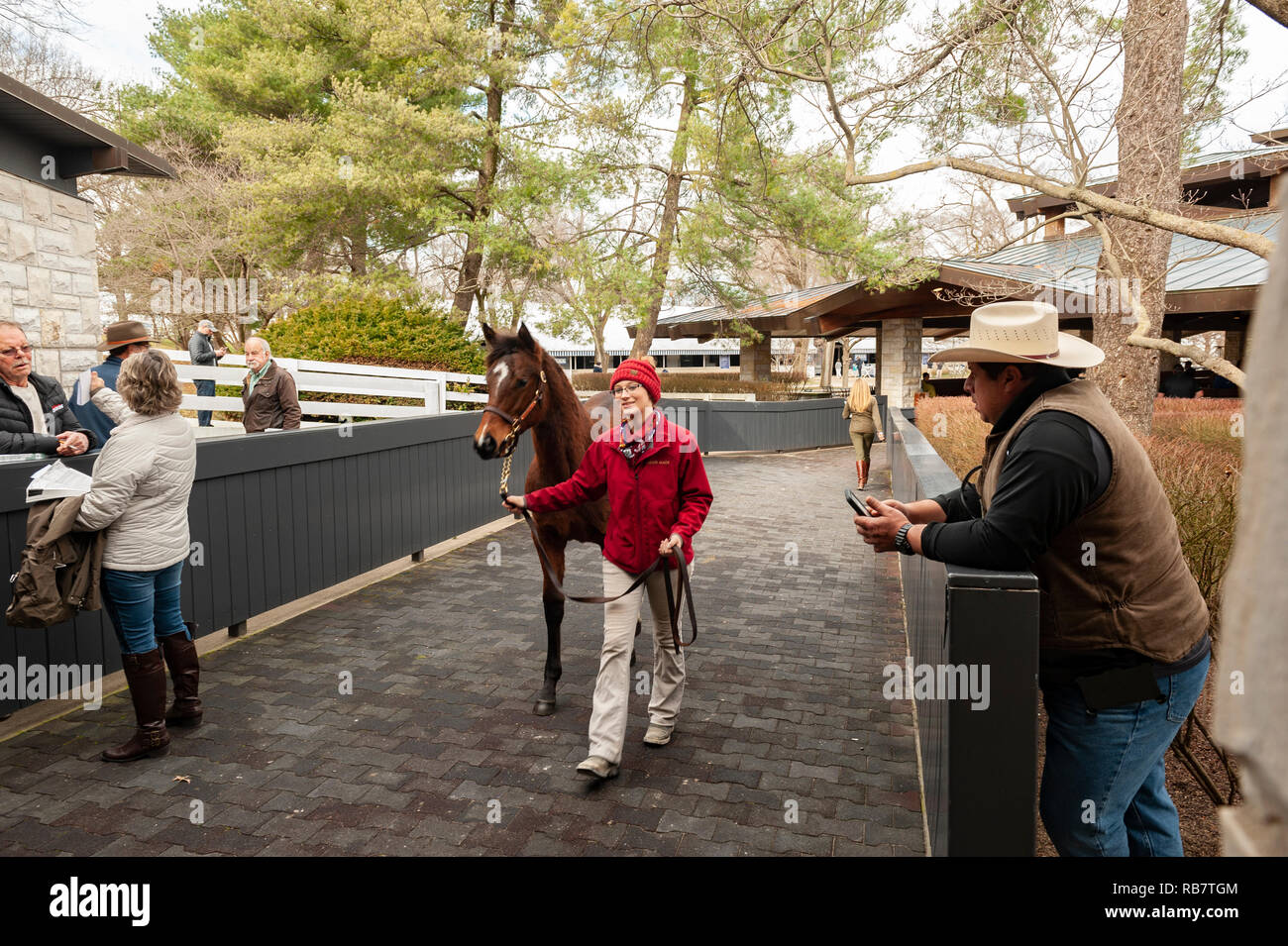 Worlds largest horse hires stock photography and images Alamy