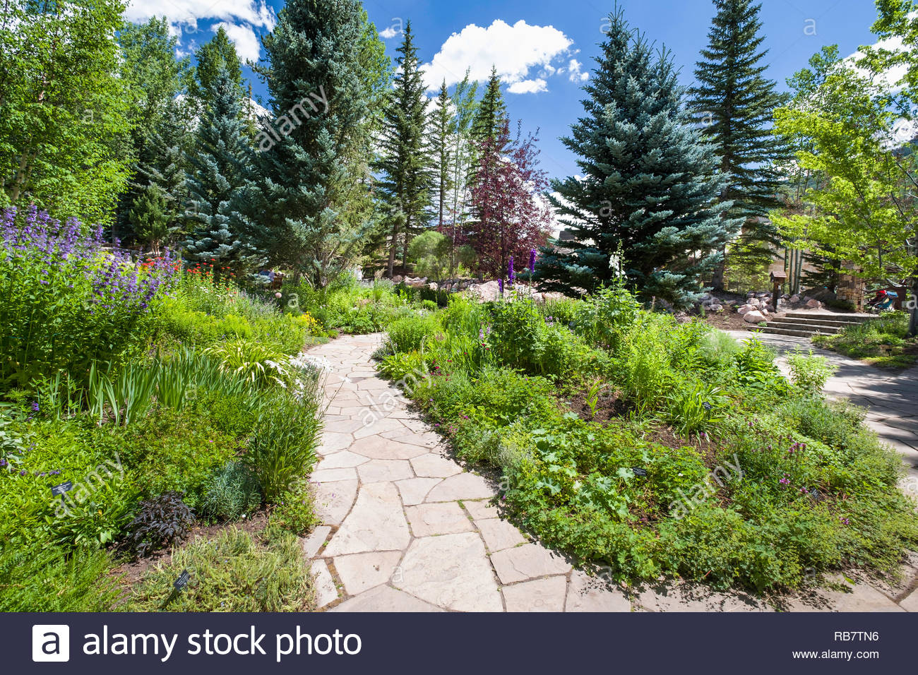 Betty Ford Alpine Gardens Vail Eagle County Colorado Usa Stock